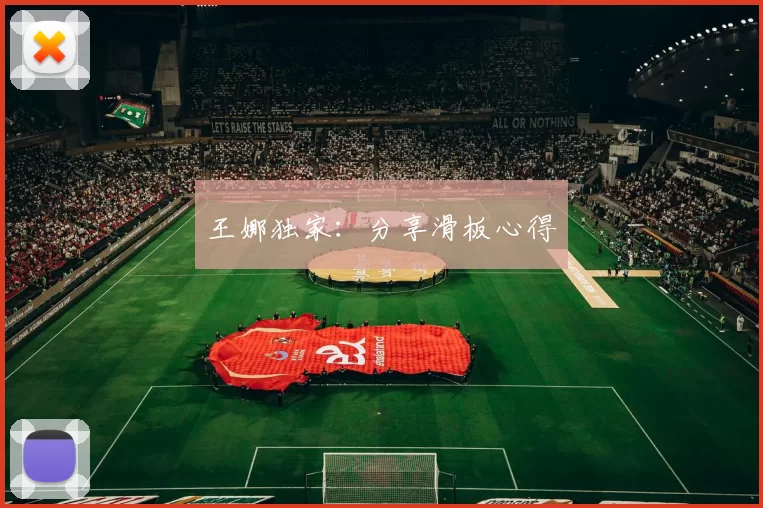 王娜独家：分享滑板心得