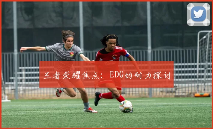 王者荣耀焦点：EDG的耐力探讨