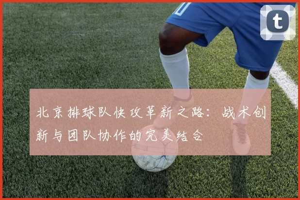 北京排球队快攻革新之路：战术创新与团队协作的完美结合