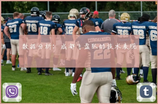 数据分析：成都飞盘队的技术表现