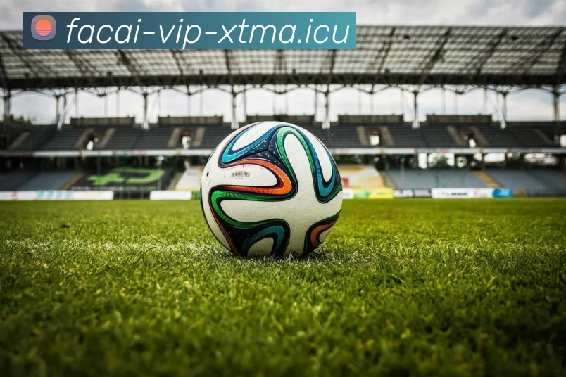 乐鱼体育发展历程